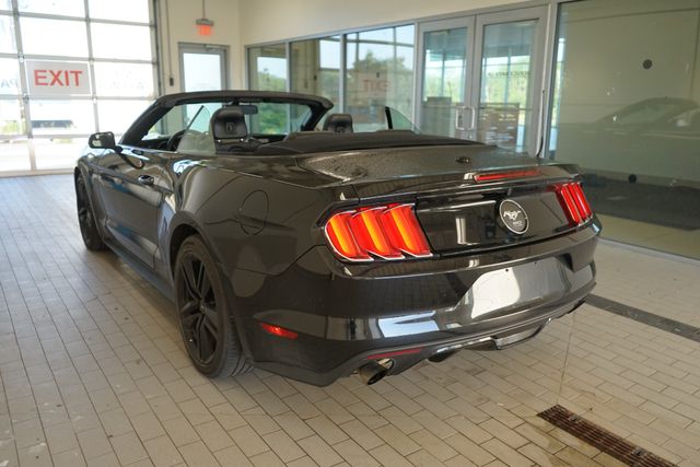 Thumbnail: 2015 Ford Mustang - 11