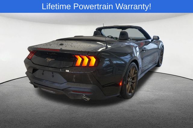 Thumbnail: 2026 Ford Mustang - 13