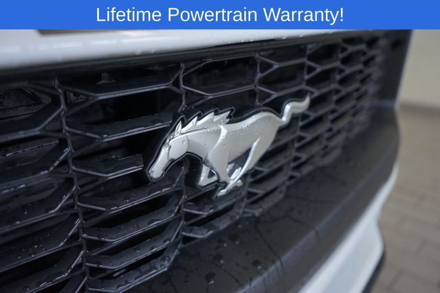 Thumbnail: 2025 Ford Mustang - 18