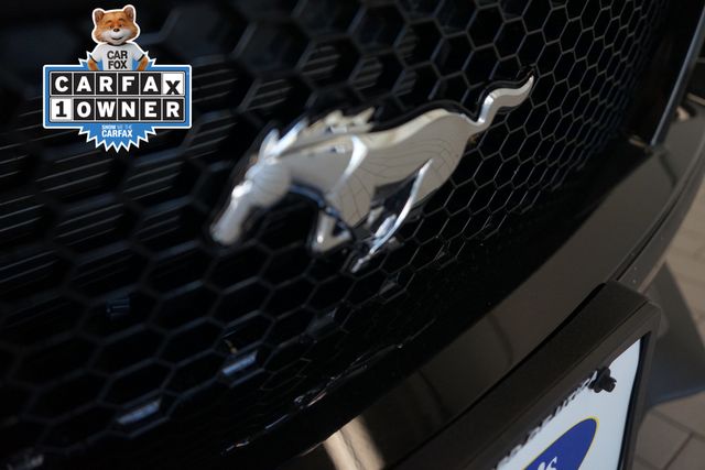 2020 Ford Mustang GT 19