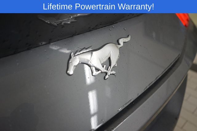 Thumbnail: 2026 Ford Mustang - 12