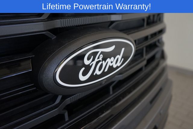 Thumbnail: 2025 Ford F-150 - 19