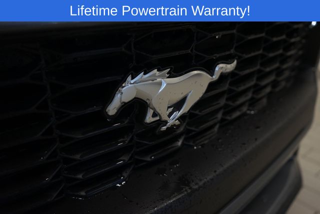 Thumbnail: 2026 Ford Mustang - 17