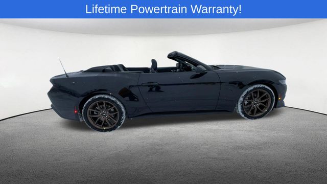 Thumbnail: 2026 Ford Mustang - 9