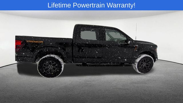 Thumbnail: 2025 Ford F-150 - 9