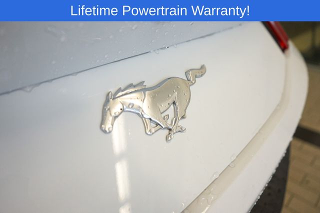 Thumbnail: 2025 Ford Mustang - 5