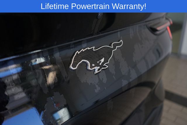 Thumbnail: 2025 Ford Mustang Mach-E - 13