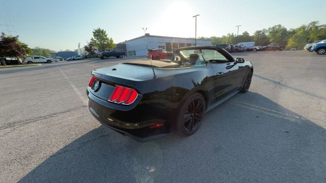 Thumbnail: 2015 Ford Mustang - 9