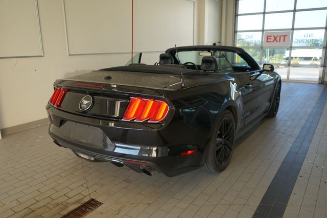 Thumbnail: 2015 Ford Mustang - 14