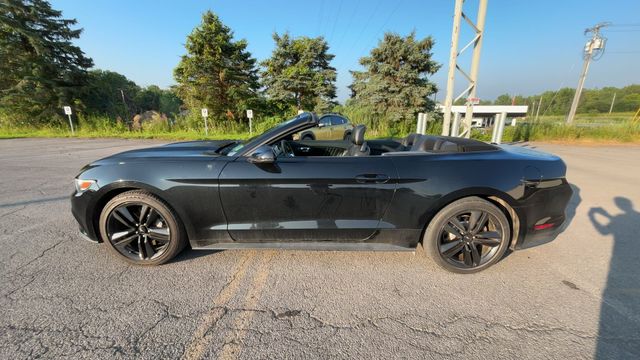 Thumbnail: 2015 Ford Mustang - 6