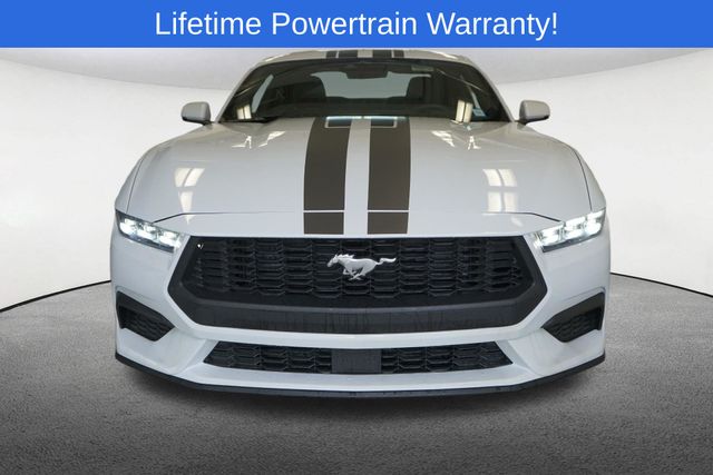 Thumbnail: 2025 Ford Mustang - 17