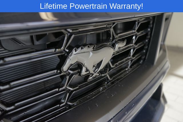 Thumbnail: 2025 Ford Mustang - 18