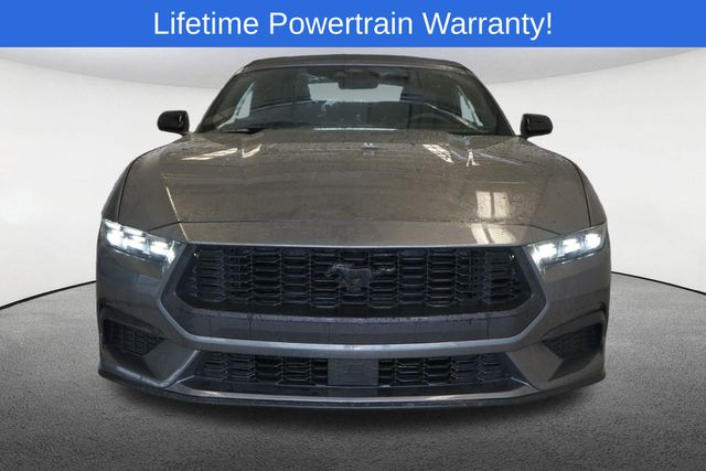Thumbnail: 2026 Ford Mustang - 16