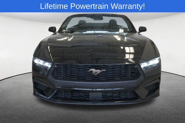 Thumbnail: 2026 Ford Mustang - 16