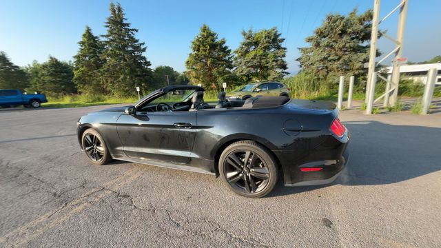 Thumbnail: 2015 Ford Mustang - 7