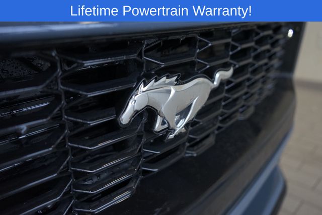 Thumbnail: 2026 Ford Mustang - 18