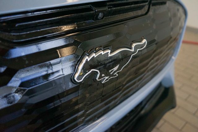 Thumbnail: 2025 Ford Mustang Mach-E - 17