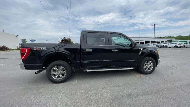 Thumbnail: 2023 Ford F-150 - 10
