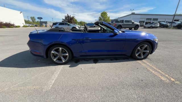Thumbnail: 2015 Ford Mustang - 10