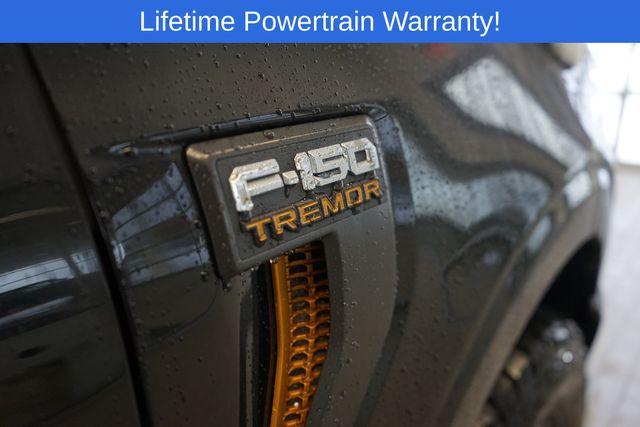 Thumbnail: 2025 Ford F-150 - 15