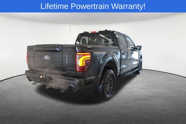 Thumbnail: 2025 Ford F-150 - 14