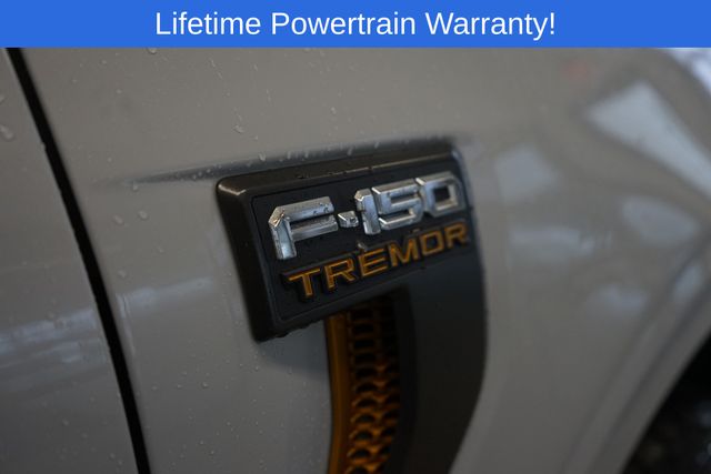 Thumbnail: 2025 Ford F-150 - 6