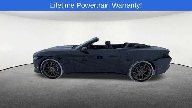 Thumbnail: 2026 Ford Mustang - 5