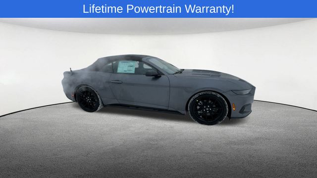 Thumbnail: 2026 Ford Mustang - 9