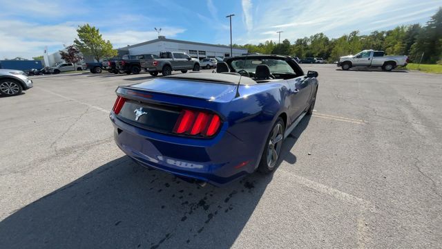 Thumbnail: 2015 Ford Mustang - 9