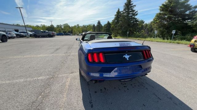 Thumbnail: 2015 Ford Mustang - 8