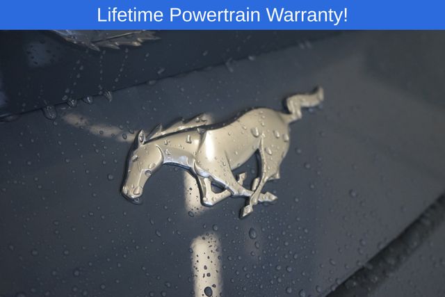 Thumbnail: 2026 Ford Mustang - 12