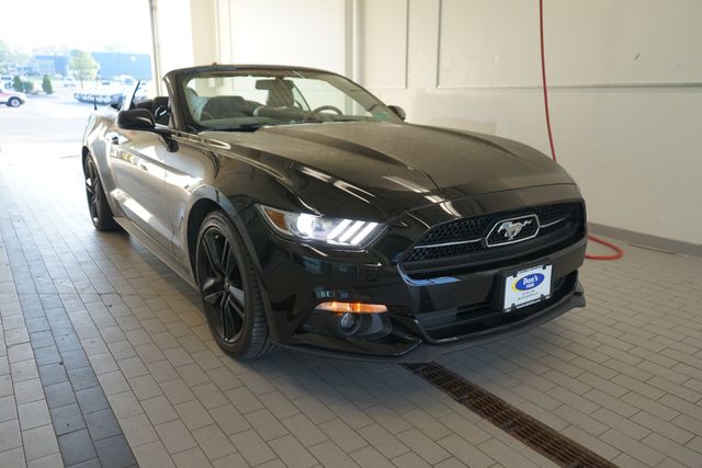 Thumbnail: 2015 Ford Mustang - 16