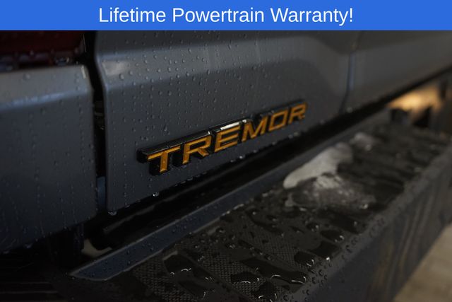 Thumbnail: 2025 Ford F-150 - 4