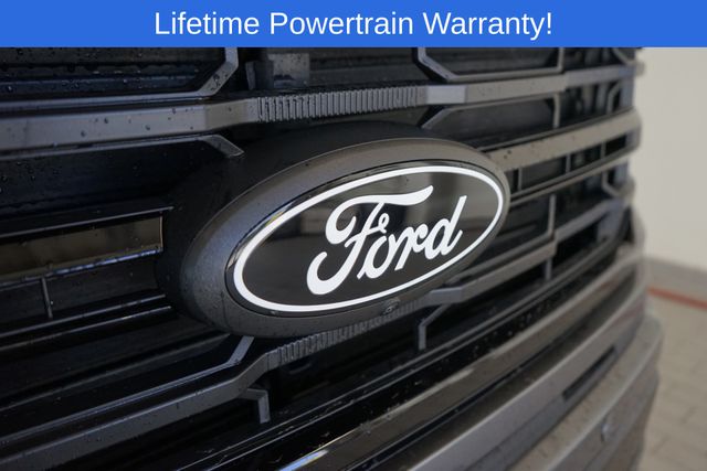 Thumbnail: 2025 Ford F-150 - 19