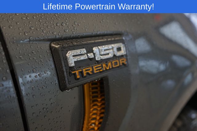 Thumbnail: 2025 Ford F-150 - 6