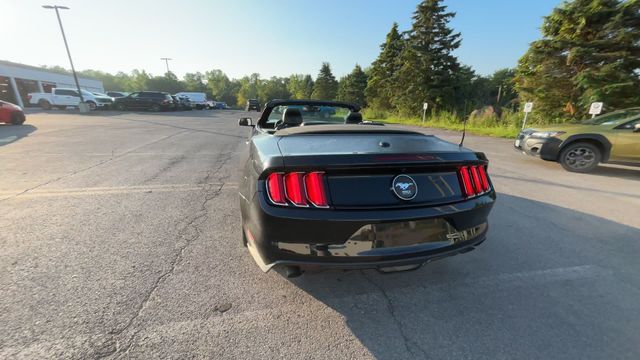 Thumbnail: 2015 Ford Mustang - 8