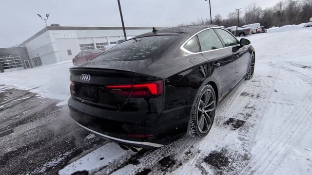 Thumbnail: 2019 Audi S5 - 8
