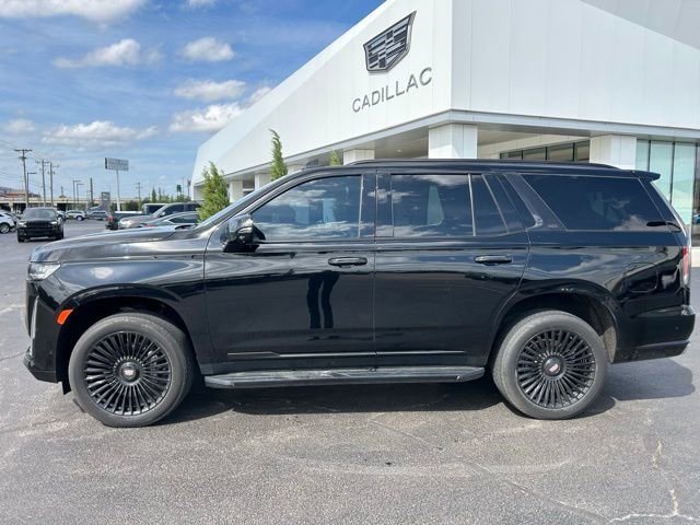 2023 Cadillac Escalade 4WD Premium Luxury's photo