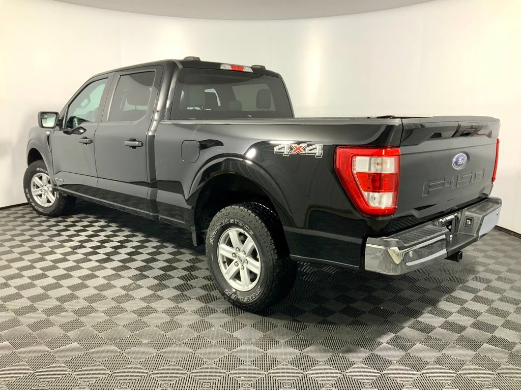 2023 Ford F-150 XL - Photo 12