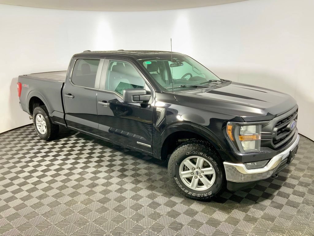 2023 Ford F-150 XL - Photo 3