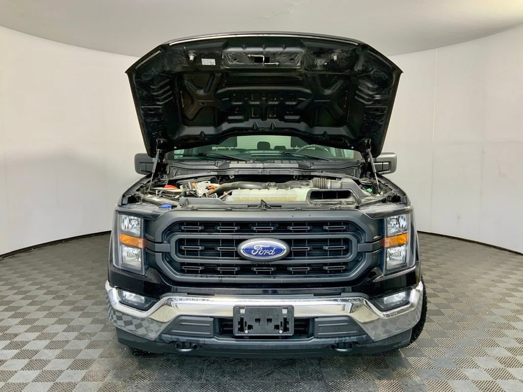 2023 Ford F-150 XL - Photo 5