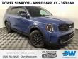 Used 2024 Kia Telluride SX Prestige X-Pro SUV