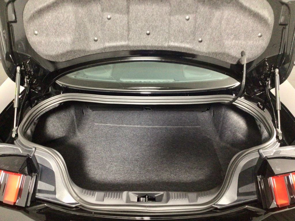 2025 Ford Mustang EcoBoost Premium Fastback - Photo 31