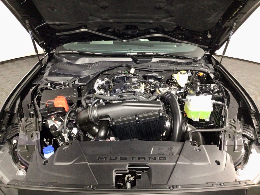 2025 Ford Mustang EcoBoost Premium Fastback - Photo 8