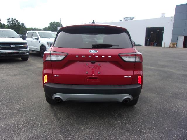 2022 Ford Escape SE photo 4