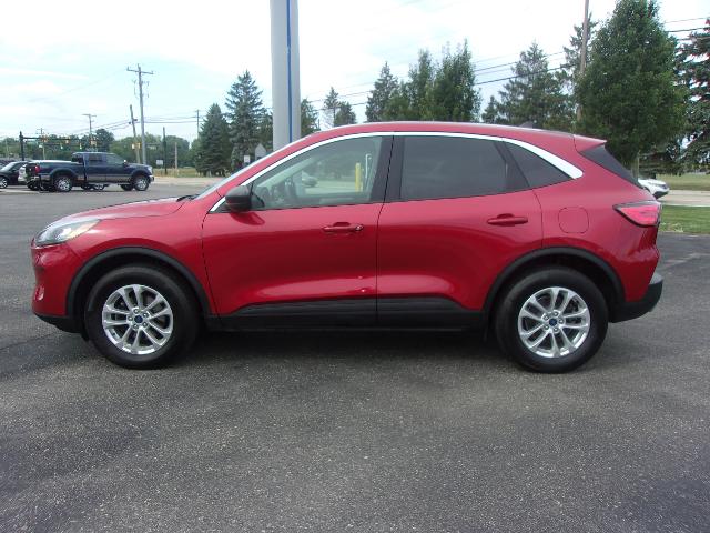 2022 Ford Escape SE photo 2