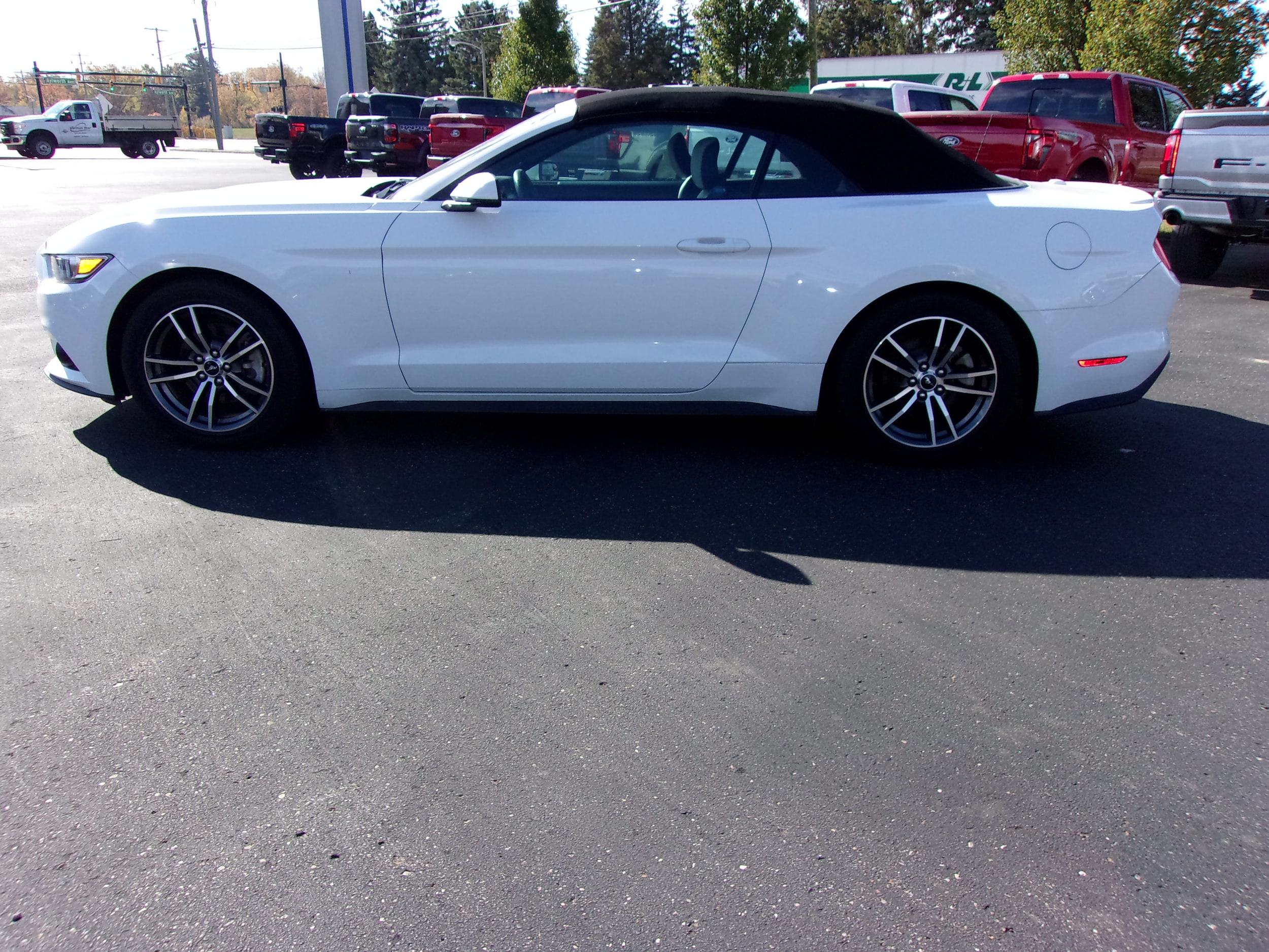 Used 2017 Ford Mustang EcoBoost Premium with VIN 1FATP8UH8H5310828 for sale in South Haven, MI