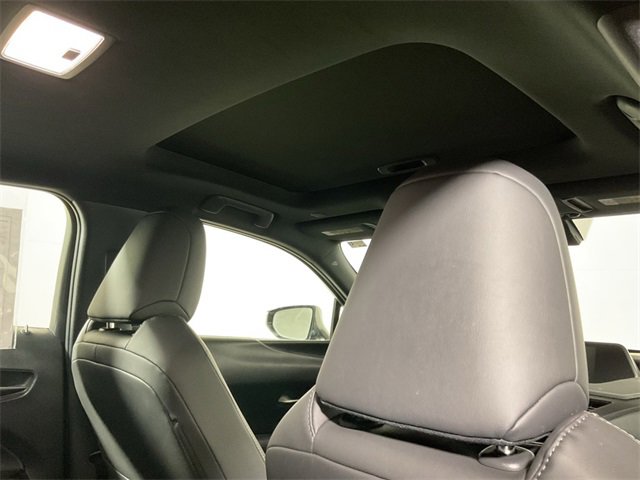 2020 Lexus UX 250h Premium photo 2
