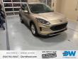 Used 2020 Ford Escape SE SE AWD
