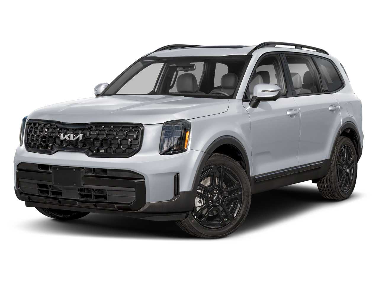 2025 Kia Telluride EX Hero Image